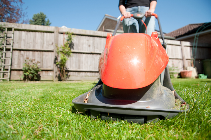 Get Your Garden Summer Ready