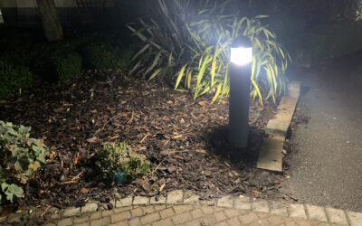 Make the Most of Your Garden with Safe Outdoor Electrics